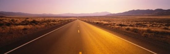 Desert Road Nevada USA Canvas Art - Panoramic Images (36 x 12)