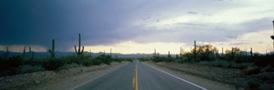 Desert Road near Tucson Arizona USA Canvas Art - Panoramic Images (36 x 12)