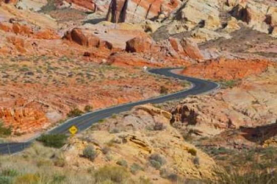 Desert Roads II Canvas Art - Lee Peterson (12 x 18)