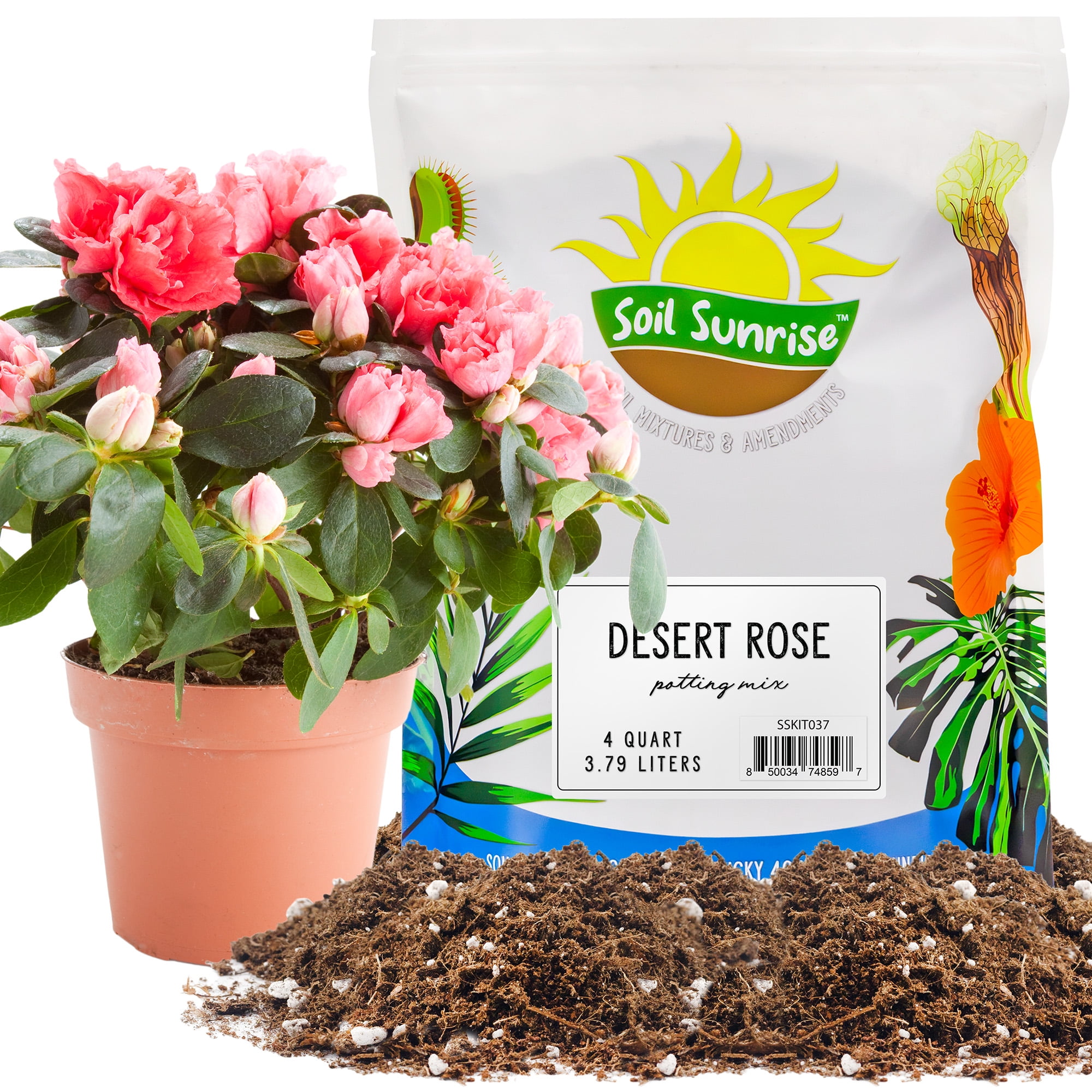 Desert Rose Potting Soil Mix (4 Quarts), Repot, Sprout and Grow Potted