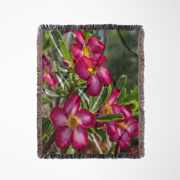 Desert Rose, Woven Blanket