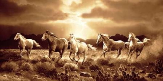 Desert Run Canvas Art - James Lee (10 x 20)