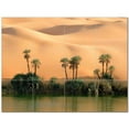 thumbnail image 1 of Desert Scene Ceramic Tile Mural Kitchen Backsplash Bathroom Shower 404669-L43, 1 of 3