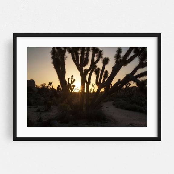 Desert Silhouettes - Photography Black Framed Wall Art Print 5 x 7 inches
