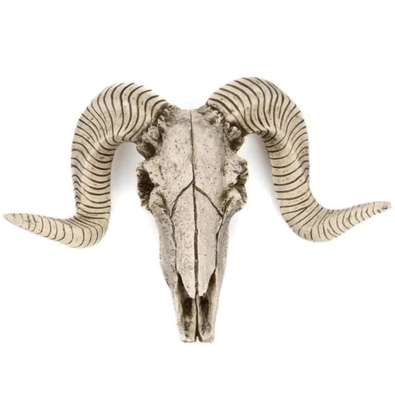 Desert Skull Sculpture