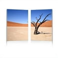 thumbnail image 1 of Desert Solitude Mounted Print Diptych in Multicolor, 1 of 1