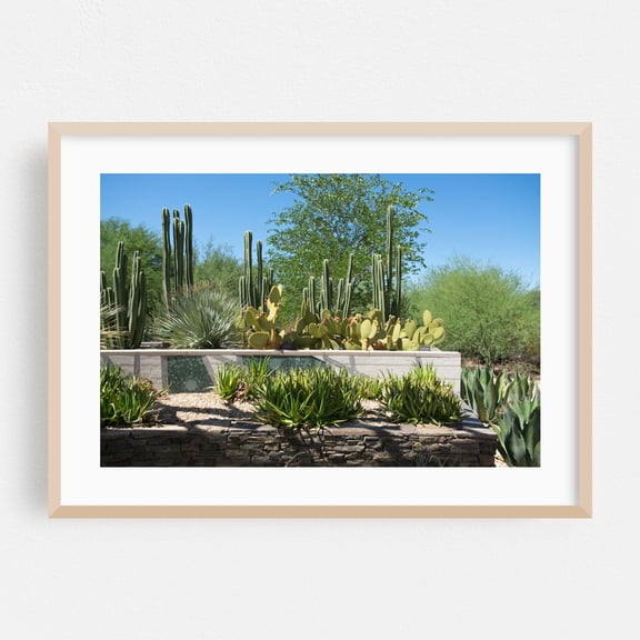 Desert Steps - Phoenix Arizona Photography Cactus Desert Botanical Nature Garden Landscape Scenic Oak Framed Wall Art Print 5 x 7 inches