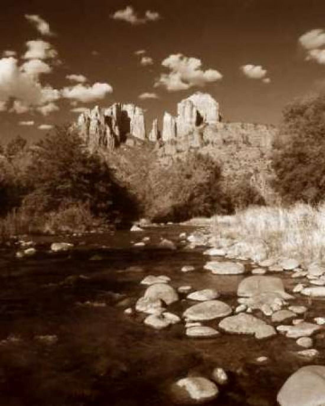 Desert Stream III Canvas Art - Scott Larson (20 x 24)