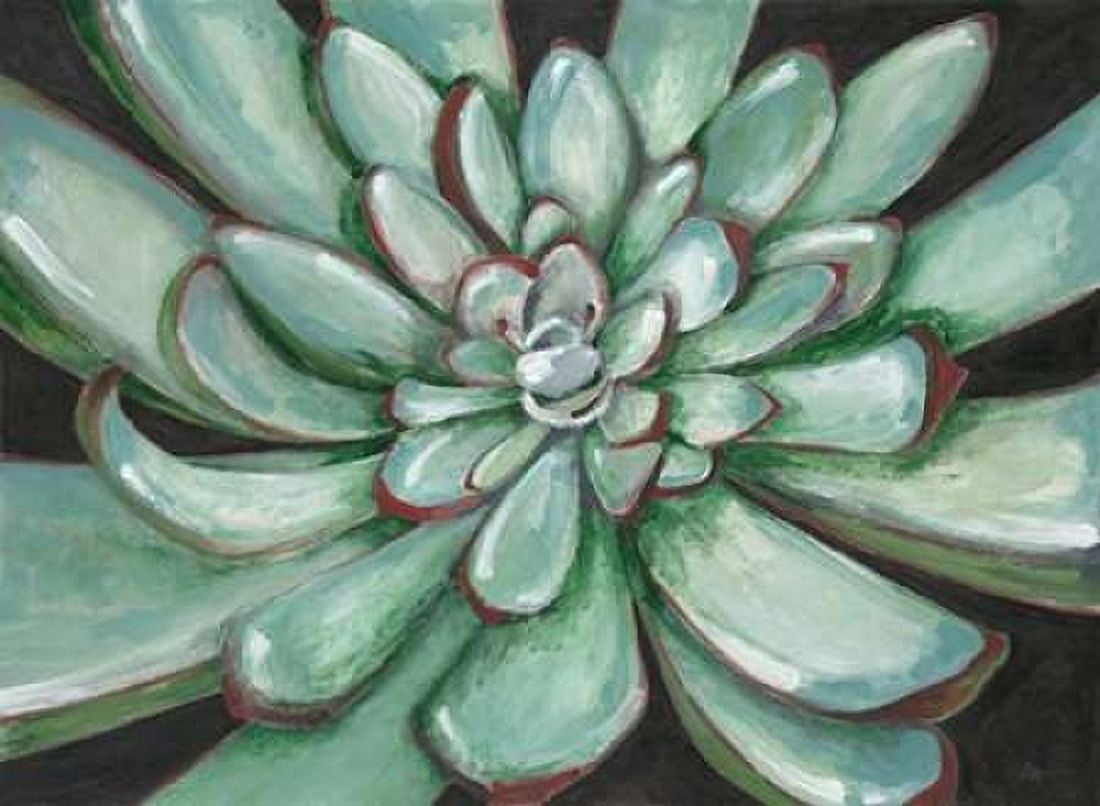 Desert Succulent Canvas Art - Filippo Ioco (18 x 24)