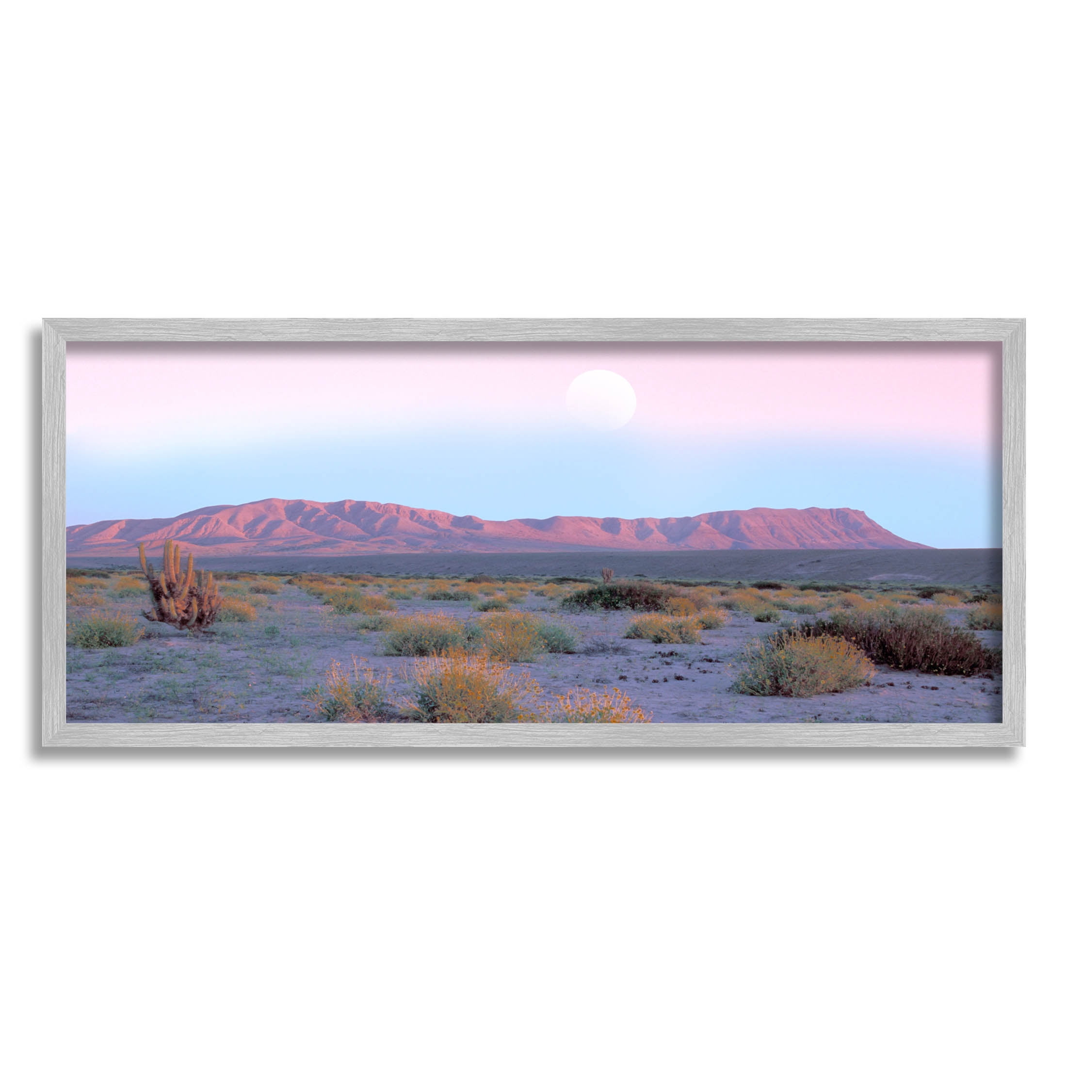 Desert Sun Arid Plateau Landscape Photograph Gray Framed Art Print Wall Art