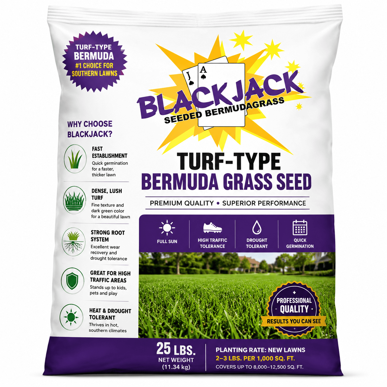 Desert Sun Marketing Blackjack Bermuda Grass Plant Seeds