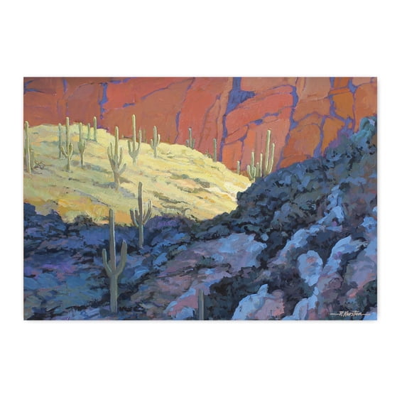 Desert Sun Postcards - 4 x 6 Western Desert Postcards - 40 Desert Cactus Postcar