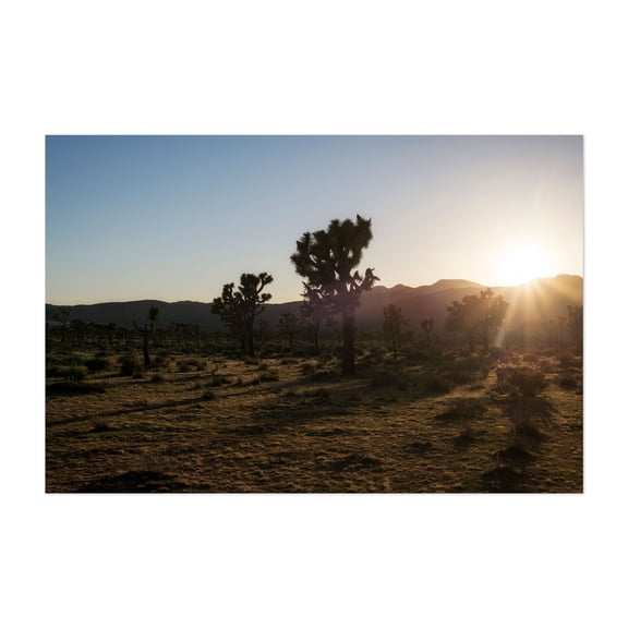 Desert Sunset Serenity - Photography Desert Sunset Nature Landscape Cactus Wilderness Scenic Unframed Wall Art Print 32 x 48 inches