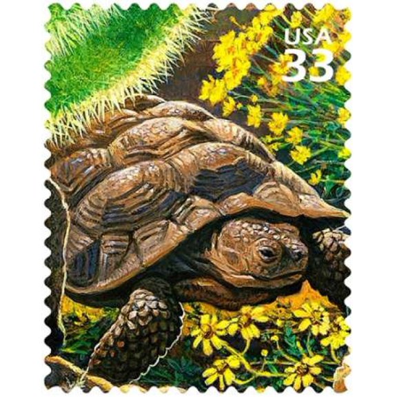 Desert Tortoise Canvas Art - US POSTAL SERVICE (22 x 28)