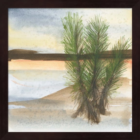 Desert Yucca by Chris Paschke, Framed Wall Art, 13.25W x 13.25H