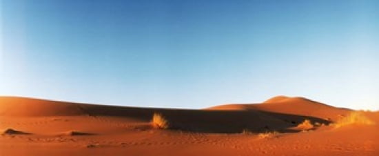 Desert at sunrise Sahara Desert Morocco Canvas Art - Panoramic Images (30 x 13)