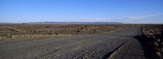 Desert road passing through the grasslands Namibia Canvas Art - Panoramic Images (36 x 13)