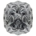 thumbnail image 1 of Desertasis human hair wig Grey Wig Full Woman Curly Fashion Synthetic Hair Short Natural Wig, 1 of 6