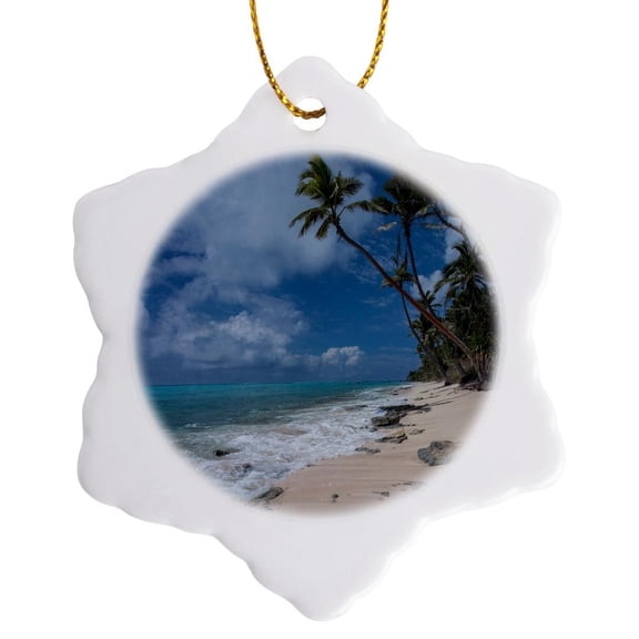 3drose, Deserted Sandy Beach on an Island with Palm Trees, Kingdom of Tonga., 3 inch Snowflake Porcelain Ornament