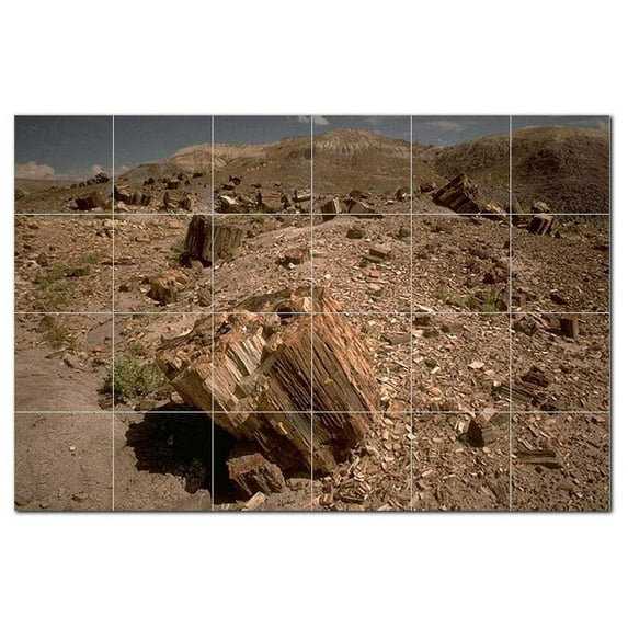 Deserts Npsh Ceramic Tile Mural Kitchen Backsplash Bathroom Shower, 404688-S64