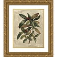 thumbnail image 1 of Deshayes, Gerard Paul 12x14 Gold Ornate Wood Framed with Double Matting Museum Art Print Titled - Deshayes Tree III, 1 of 4