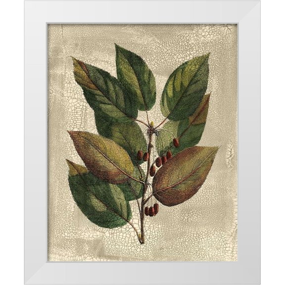 Deshayes, Gerard Paul 12x14 White Modern Wood Framed Museum Art Print Titled - Deshayes Tree IV