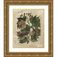 thumbnail image 1 of Deshayes, Gerard Paul 15x18 Gold Ornate Wood Framed with Double Matting Museum Art Print Titled - Deshayes Tree I, 1 of 4