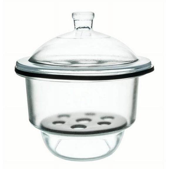 Desiccator with Knob Cover - 25cm (9.8") Porcelain Plate - Borosilicate Glass