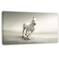 thumbnail image 1 of Design Art 'Beautiful White Horse Running' Photographic Print on Wrapped Canvas, 1 of 2