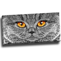 DESIGN ART Grey Cat Animal Art Canvas (Multiple Sizes) 32 in. wide x 16 in. high