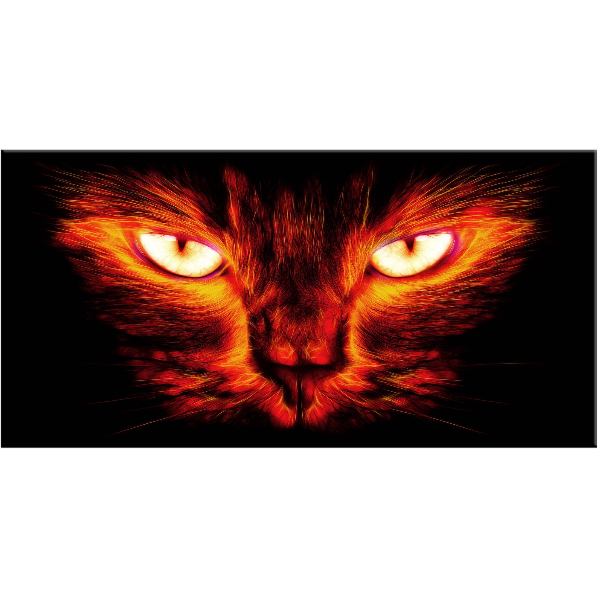 Design Art Pink and Black Cat Eyes Canvas Art, 32" x 16"