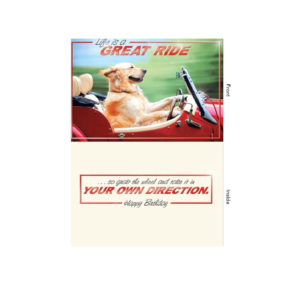 design-design-dog-driving-convertible-birthday-card-his-walmart