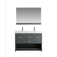 thumbnail image 1 of Design Element Citrus 48" Double Sink Bathroom Vanity Set in Gray, 1 of 9