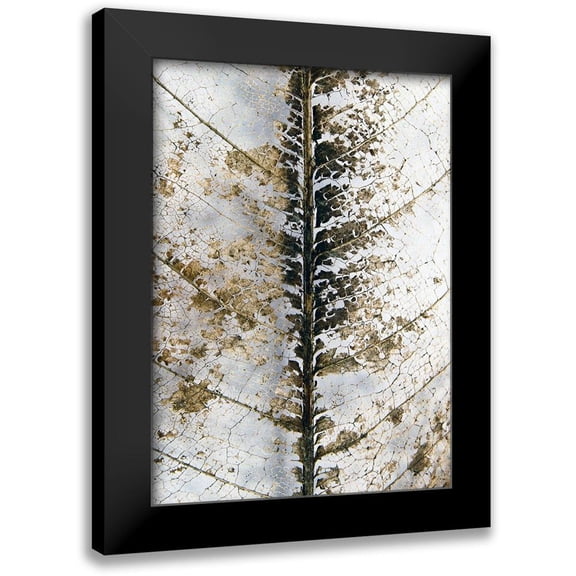 Design Fabrikken 11x14 Black Modern Framed Museum Art Print Titled - Close Up