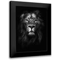 thumbnail image 1 of Design Fabrikken 11x14 Black Modern Framed Museum Art Print Titled - King of Kings, 1 of 5