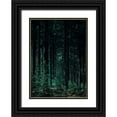 thumbnail image 1 of Design Fabrikken 11x14 Black Ornate Wood Framed with Double Matting Museum Art Print Titled - Deep Green, 1 of 4