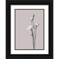 thumbnail image 1 of Design Fabrikken 11x14 Black Ornate Wood Framed with Double Matting Museum Art Print Titled - Flower 2, 1 of 4