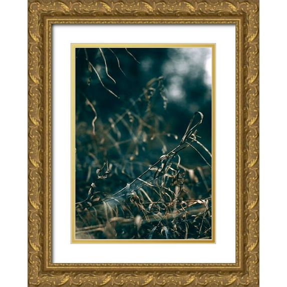Design Fabrikken 11x14 Gold Ornate Wood Framed with Double Matting Museum Art Print Titled - Secret 1