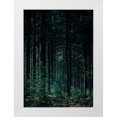 thumbnail image 1 of Design Fabrikken 11x14 White Modern Wood Framed Museum Art Print Titled - Deep Green, 1 of 4