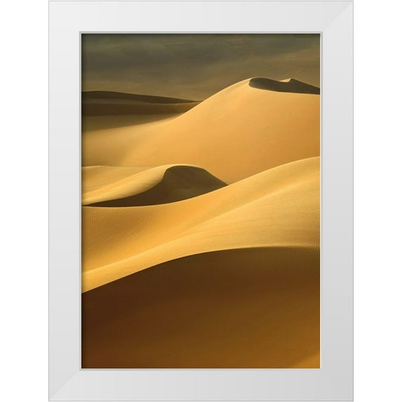Design Fabrikken 11x14 White Modern Wood Framed Museum Art Print Titled - In the Dunes 3