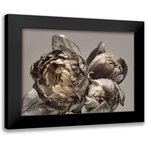 Design Fabrikken 14x11 Black Modern Framed Museum Art Print Titled - Baroque 4