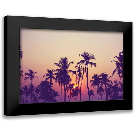 Design Fabrikken 14x11 Black Modern Framed Museum Art Print Titled - Palm Sky 1