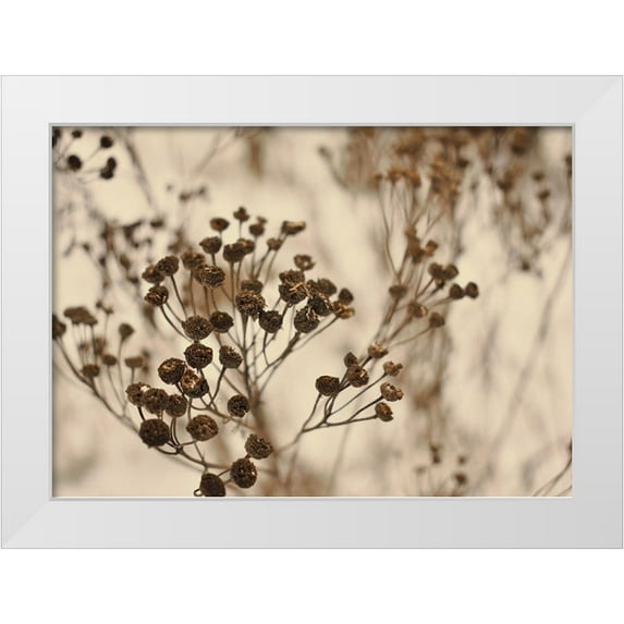 Design Fabrikken 14x11 White Modern Wood Framed Museum Art Print Titled - Secret 3