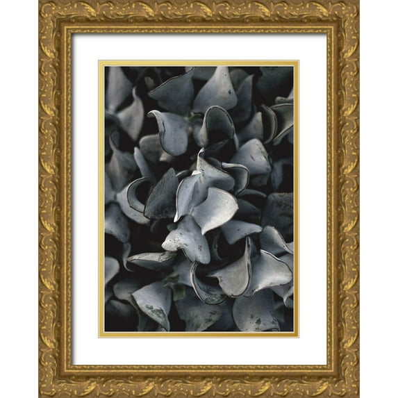Design Fabrikken 14x18 Gold Ornate Wood Framed with Double Matting Museum Art Print Titled - Secret 10