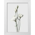 thumbnail image 1 of Design Fabrikken 14x18 White Modern Wood Framed Museum Art Print Titled - Lisianthus White, 1 of 4