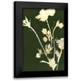 thumbnail image 1 of Design Fabrikken 17x24 Black Modern Framed Museum Art Print Titled - Pure Nature 6, 1 of 5