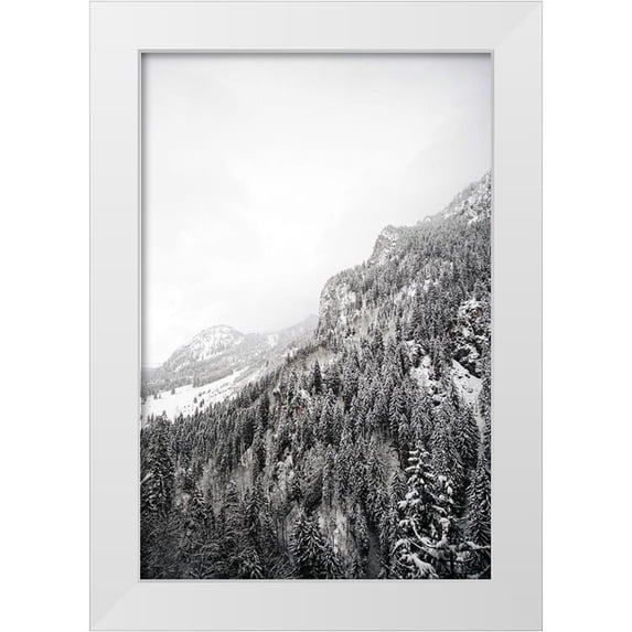 Design Fabrikken 17x24 White Modern Wood Framed Museum Art Print Titled - Suganth