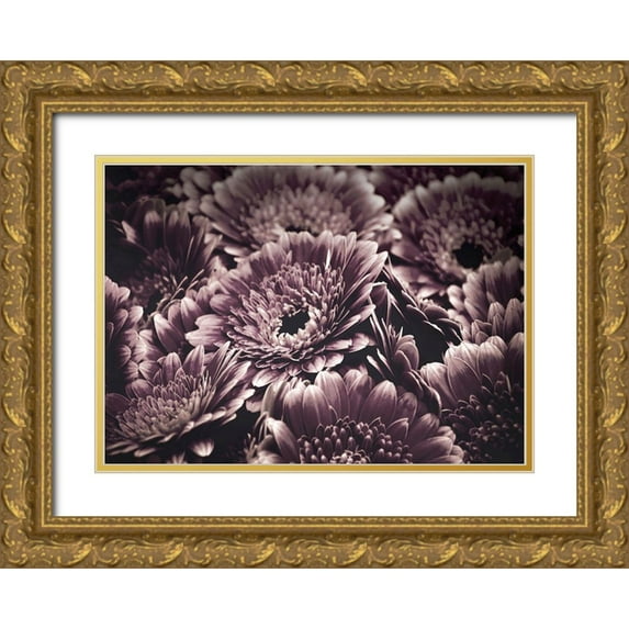 Design Fabrikken 18x14 Gold Ornate Wood Framed with Double Matting Museum Art Print Titled - Opulent 4