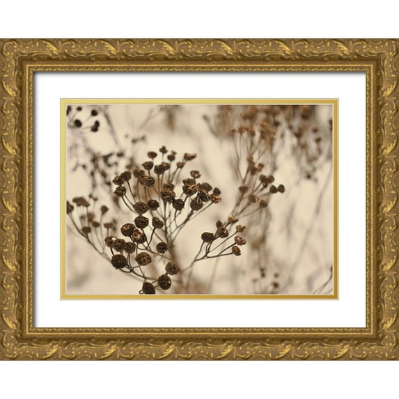 Design Fabrikken 18x14 Gold Ornate Wood Framed with Double Matting Museum Art Print Titled - Secret 3