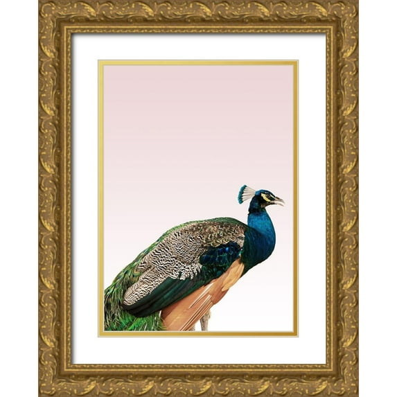 Design Fabrikken 18x24 Gold Ornate Wood Framed with Double Matting Museum Art Print Titled - Peacock on Pink